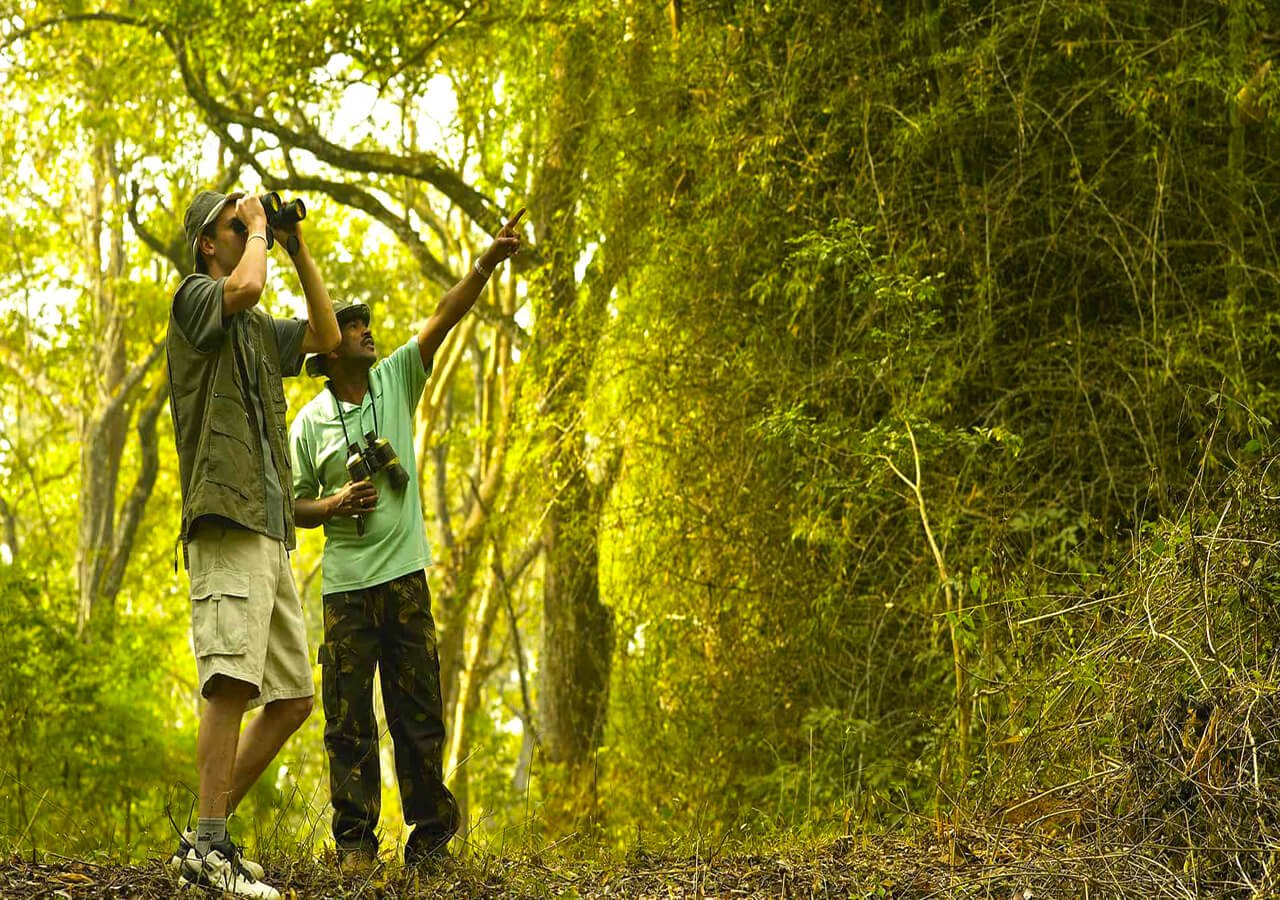 Explore the lush coffee plantations and spot diverse bird species. Enjoy peaceful nature walks, birdsong and the chance to discover the region’s beautiful birdlife.