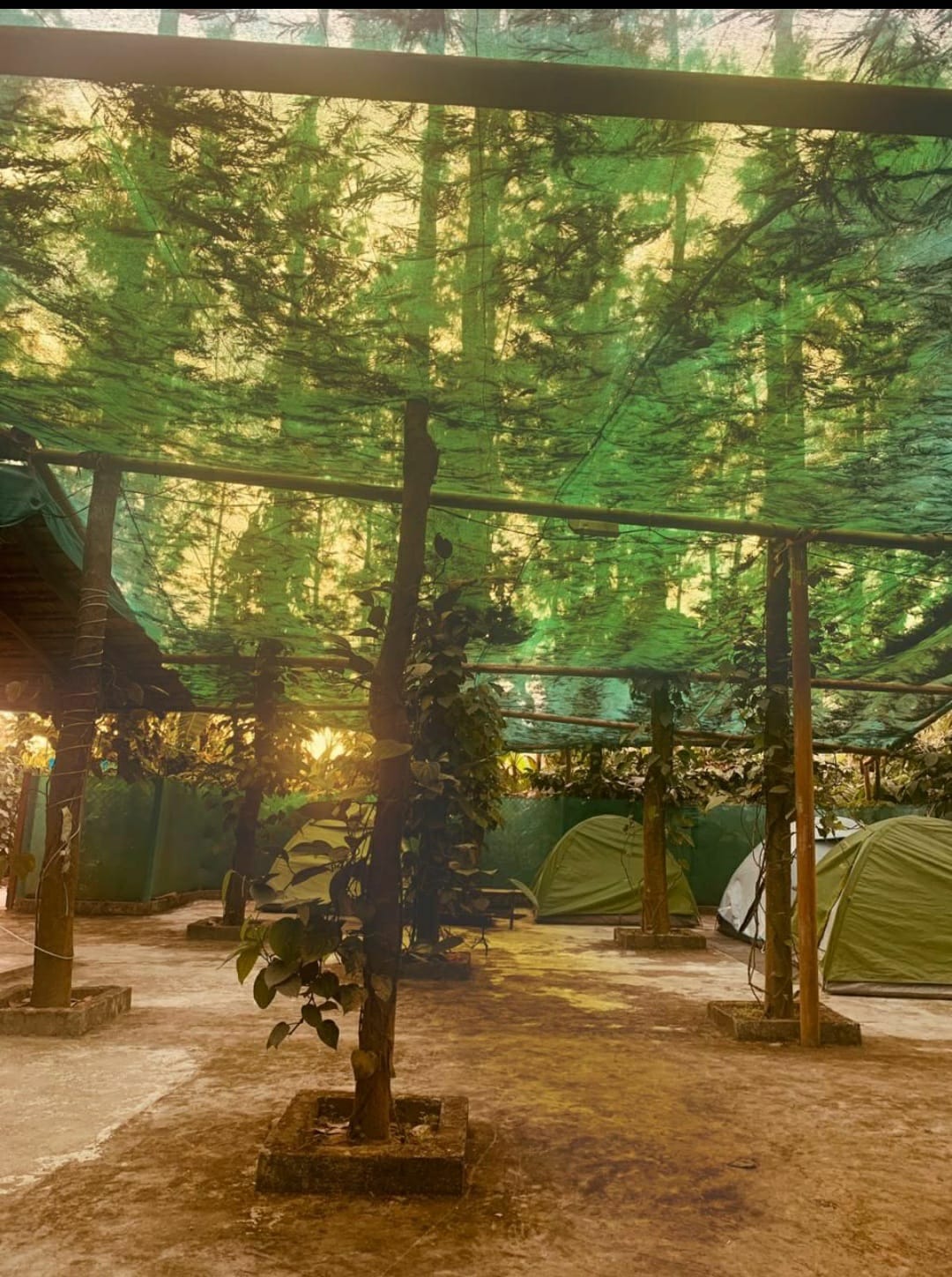 Camp stay in Sakleshpur