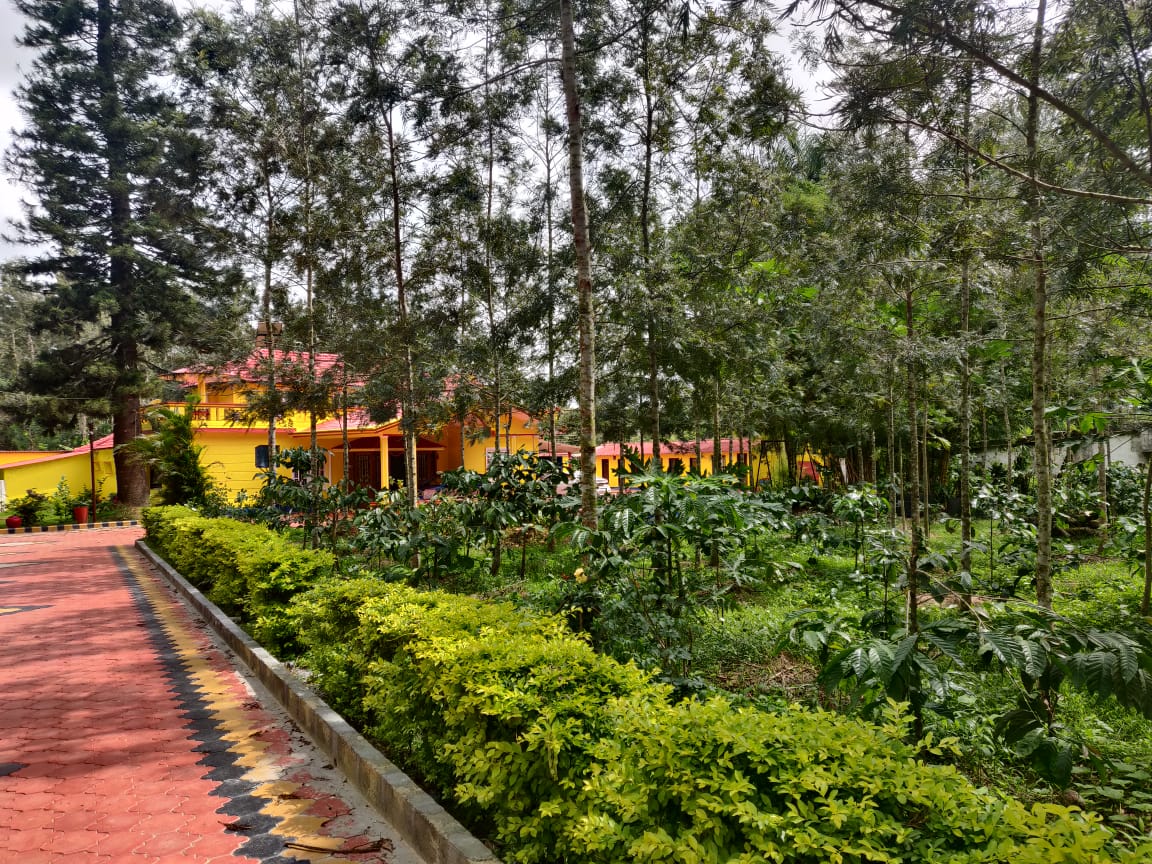 Unveiling the Pinnacle of Luxury Resorts in Sakleshpur
