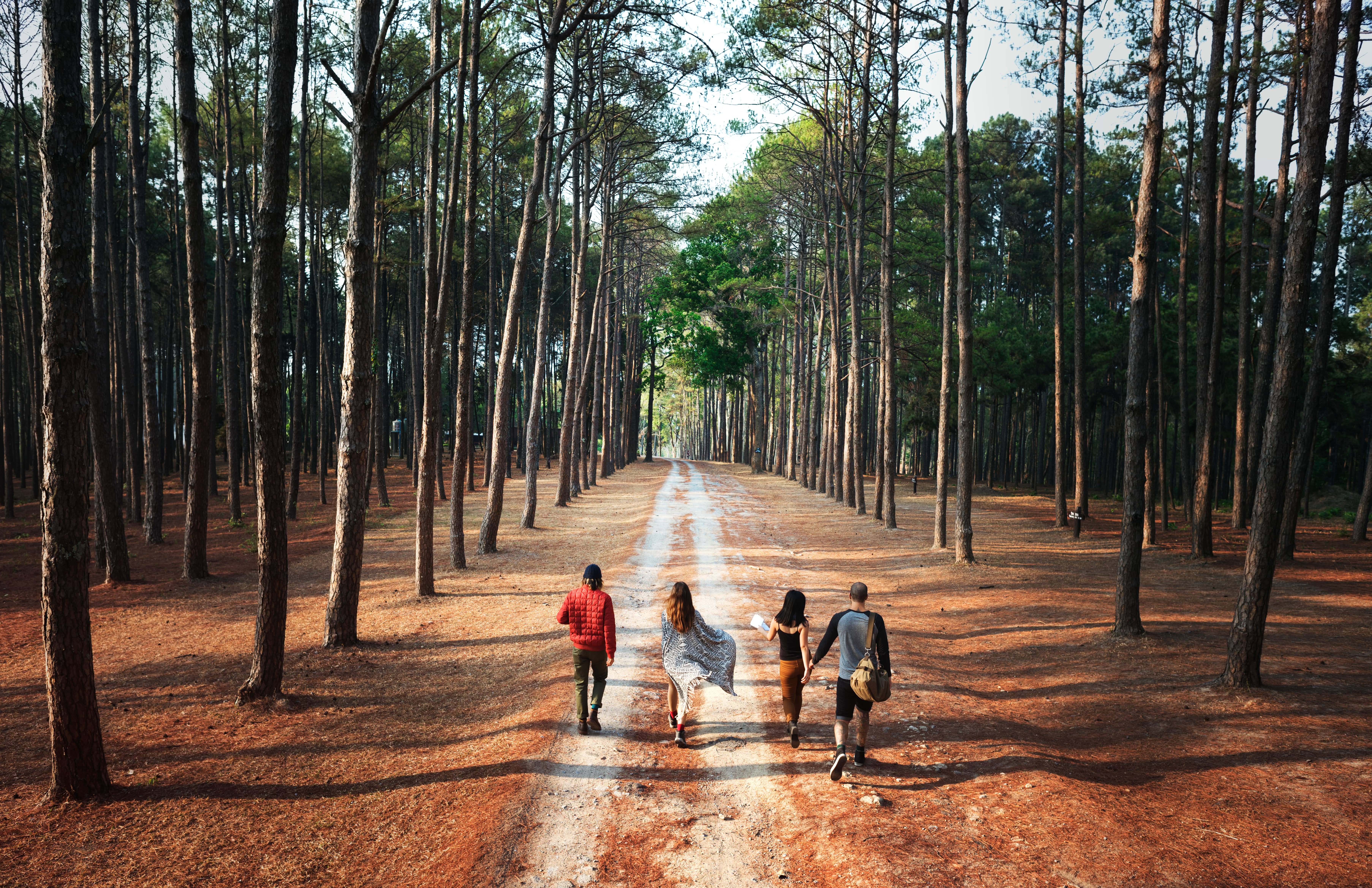 Family resort in sakleshpur