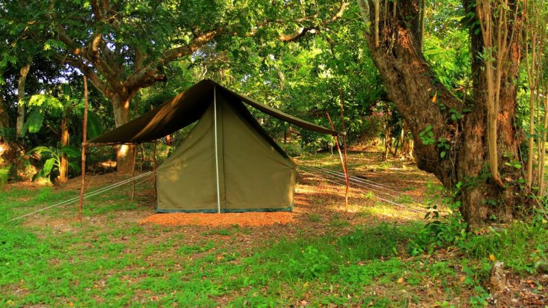 Tent Stay Sakleshpur homestay