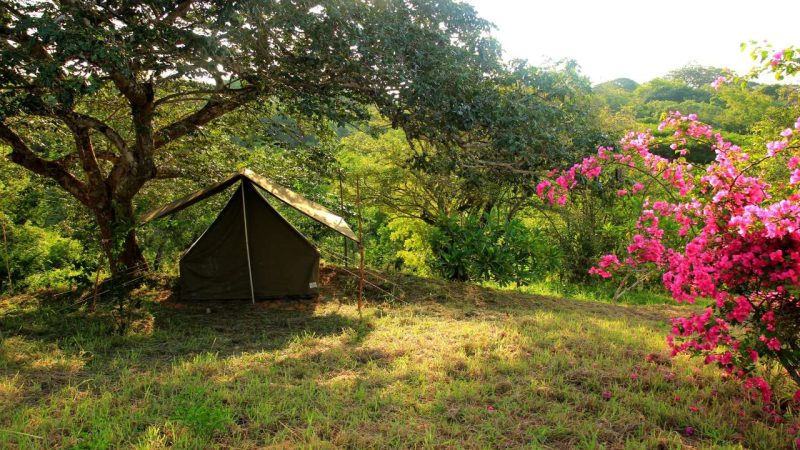 Waterfalls Sakleshpur Homestay