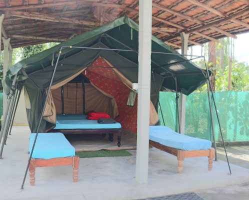 Tent Stay in Sakleshpur