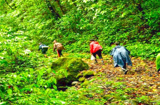 Jenukallu Gudda Trek